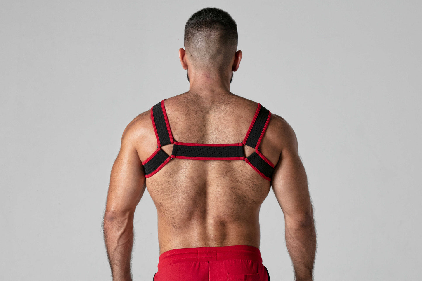 Harness Fetish Chest – LK0743-0