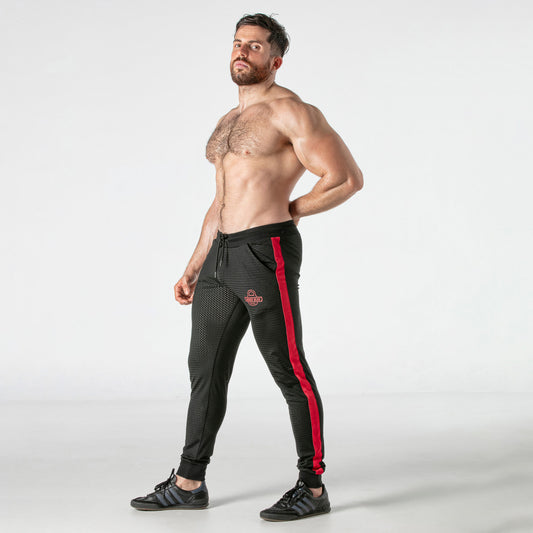  Mesh Back Zip Jogger LK0970 - underwear gay premium - moda gay masculina - Tripod Factory   